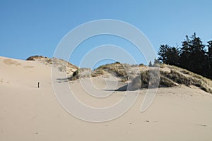 Oregon sand dunes