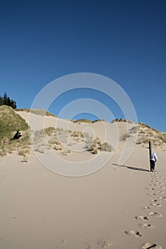 Oregon sand dunes