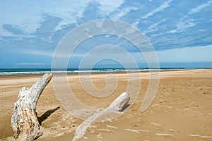 Oregon Sand Dunes National Recreation area