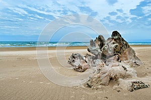 Oregon Sand Dunes National Recreation area