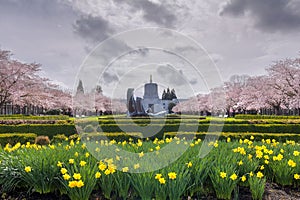 Oregon State Capitol Building with Spring Flowers