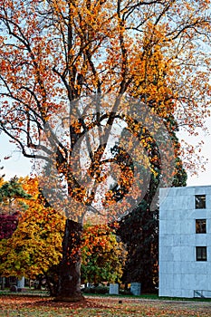 Oregon State Capitol State Park in Autumn season