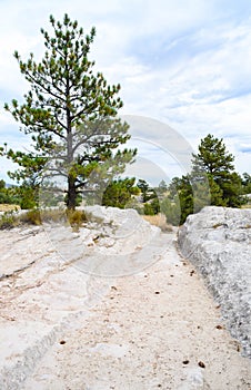 Oregon Trail Ruts State Historic Site