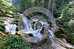 Oregon-Umpqua National Forest-Rogue-Umpqua Scenic Byway-Watson Falls