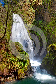 Oregon-Umpqua National Forest-Rogue-Umpqua Scenic Byway-Watson Falls