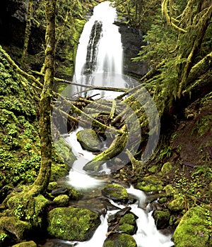 Oregon waterfall