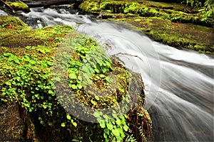 Oregon waterfall