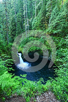 Oregon waterfall