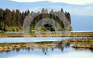 Oregon Wilderness Forest and Wetlands