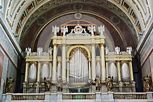 The organ photo