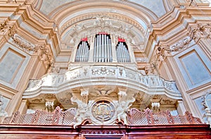 Organ