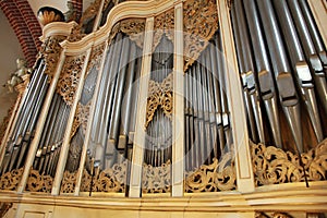 Organ