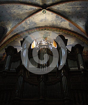 The organ