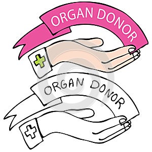 Organ Donor