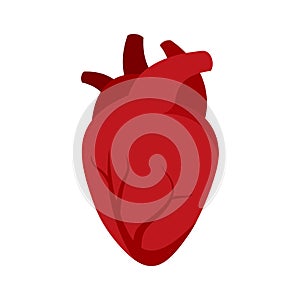 Organ human heart icon flat isolated vector