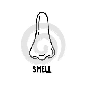 Organ of human smell, nose. Biology, anatomy of man and human organs, body. Nose, body part, perception of odors from