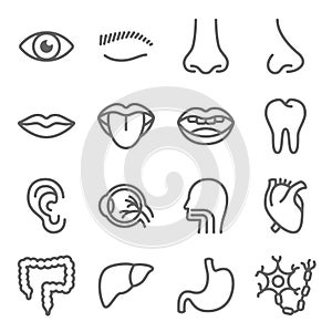 Organ icon illustration vector set. Contains such as Eye, Lips, Mouth, Heart, Liver and more. Editable stroke