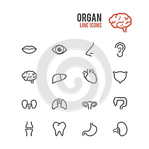 Organ icon. Vector illustration.