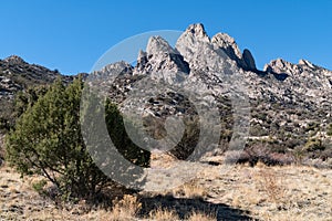 Organ Mountains from Aguirre Springs Campground.