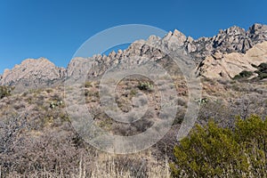 Horizontal of Organ Mountains Desert peaks National Monument.