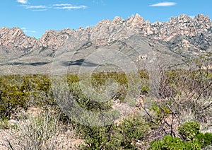 Organ Mountains - Desert Peaks National Monument