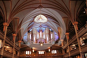 Organ