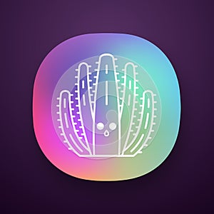 Organ pipe cactus app icon