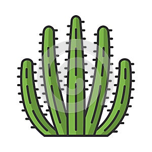 Organ pipe cactus color icon
