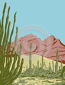 Organ Pipe Cactus National Monument and Biosphere Reserve Located in Arizona and the Mexican State of Sonora WPA Poster Art