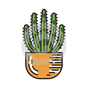 Organ pipe cactus in pot color icon