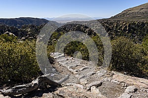 Organ Pipe Formation at the Chiricahua National Monument