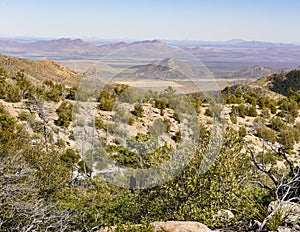 Organ Pipe Formation at the Chiricahua National Monument