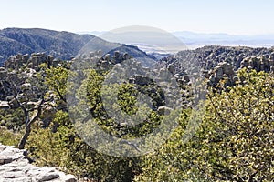 Organ Pipe Formation at the Chiricahua National Monument