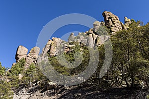 Organ Pipe Formation at the Chiricahua National Monument