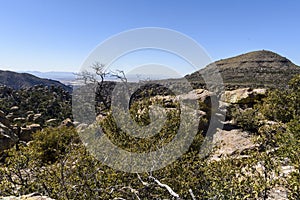 Organ Pipe Formation at the Chiricahua National Monument