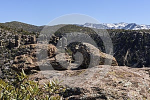 Organ Pipe Formation at the Chiricahua National Monument