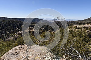 Organ Pipe Formation at the Chiricahua National Monument