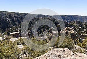 Organ Pipe Formation at the Chiricahua National Monument