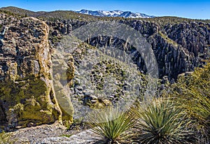 Organ Pipe Formation at the Chiricahua National Monument