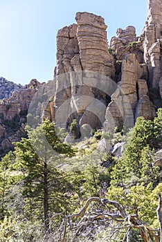 Organ Pipe Formation at the Chiricahua National Monument