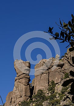 Organ Pipe Formation at the Chiricahua National Monument