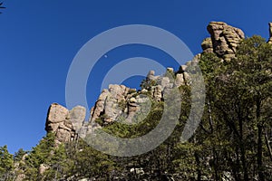 Organ Pipe Formation at the Chiricahua National Monument