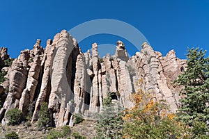 Organ Pipe Formation of rhyolite rock