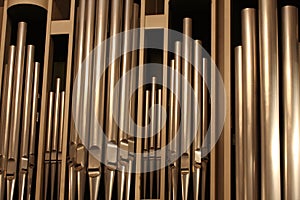 Organ-pipes