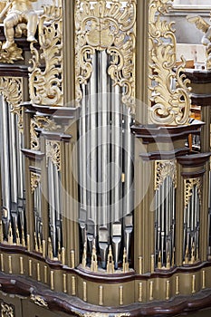 Organ Pipes