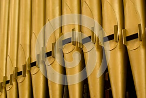 Organ Pipes