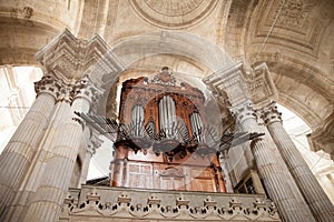 Organ pipes