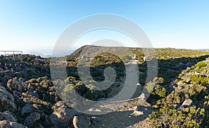 Organ Pipes at Summit of Mt Kunanyi Mt Wellington above Hobart Tasmania