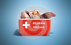 Organ transportation concept open human organ refrigerator box r