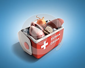 Organ transportation concept open human organ refrigerator box r